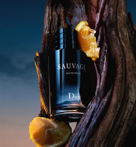 eau sauvage parfum dior douglas|dior sauvage vanilla.